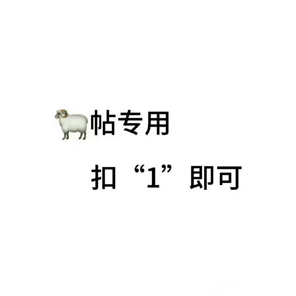 八月份的尾巴～～来和这个灰蒙蒙动动！🎀🫧 ​​​