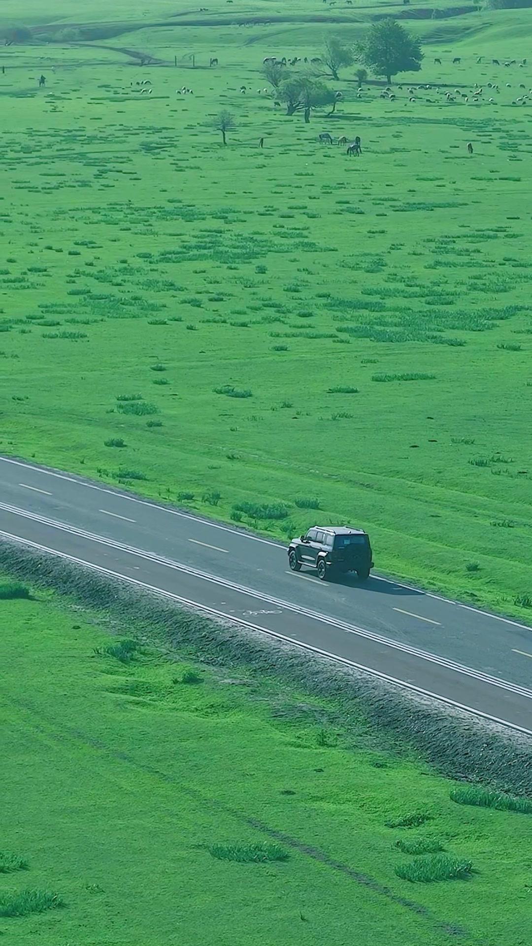 看过无数风景，只有伊犁会反复出现在我的梦里。
当真正踏上这片土地的瞬间才懂，梦境