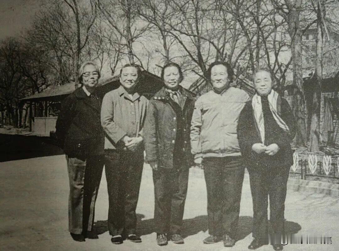 1988年4月新四军老战友相聚，左起：殷晓娟，陈模，楚青，季尼，罗伊。早在193