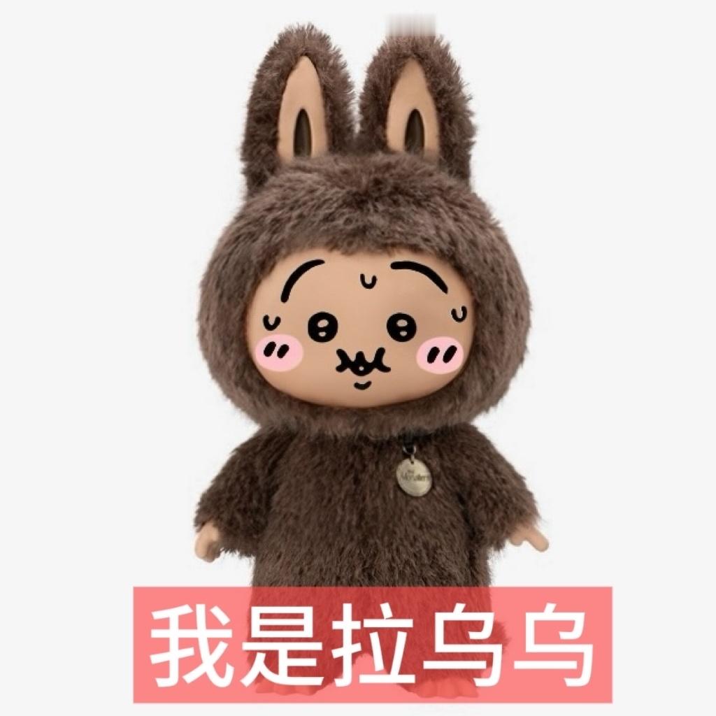 拉乌乌来支持世界杯了 