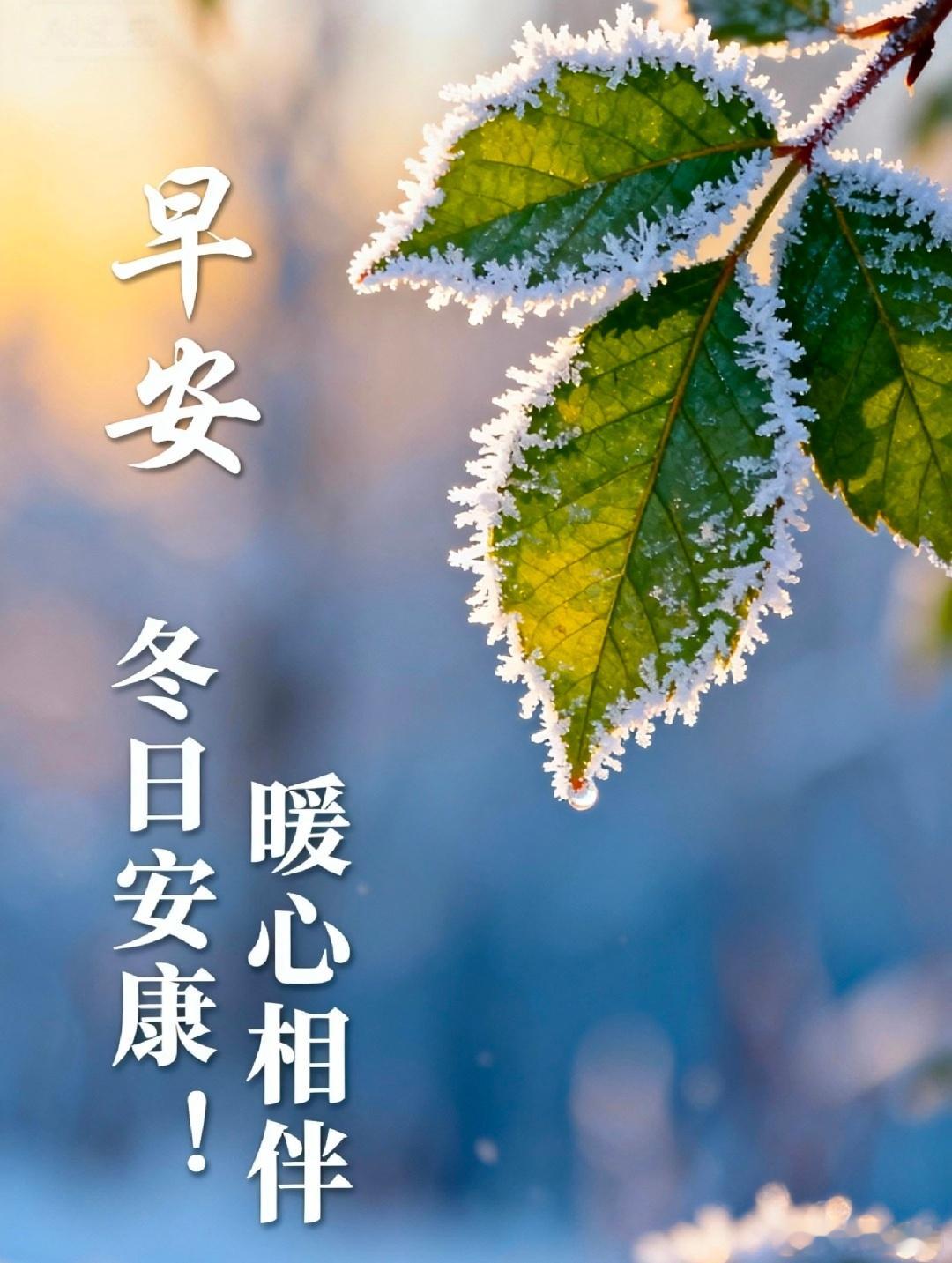 无论天气多冷，愿你的心情永远如春日般温暖，笑容常在，健康快乐每一天！ 