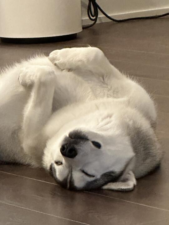 有些图片正着看还行，倒过来就……