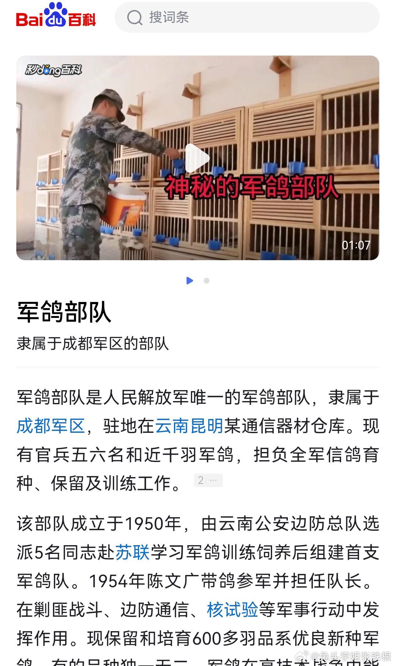 不是哥们咱妈这是对战争的惨烈情况都预估到这么离谱了吗？完全失去任何电子通信技术的