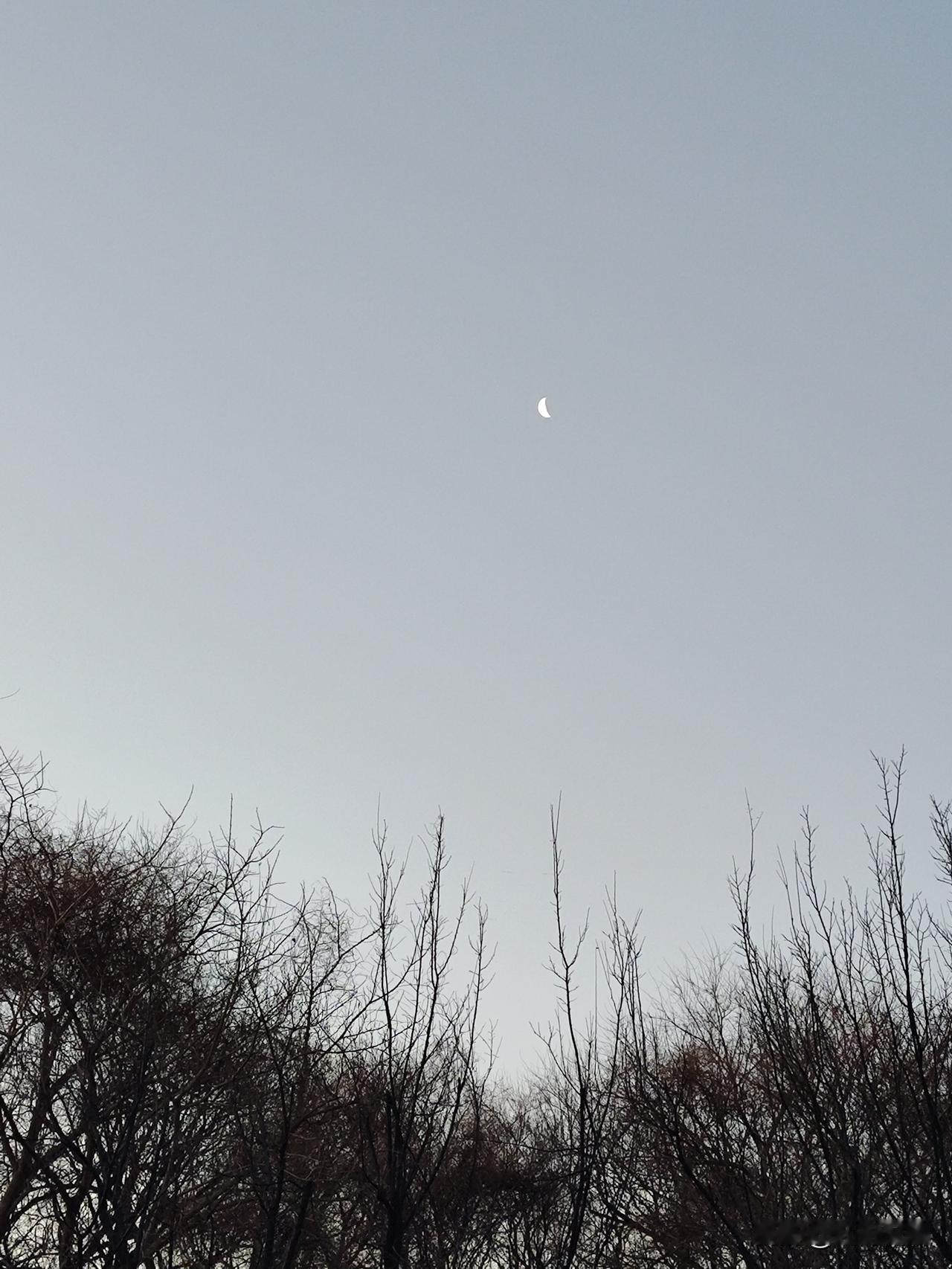 在同一地区的观测视角下，弯月的缺口始终朝向一个方向——背对太阳的一侧，并非朝向不