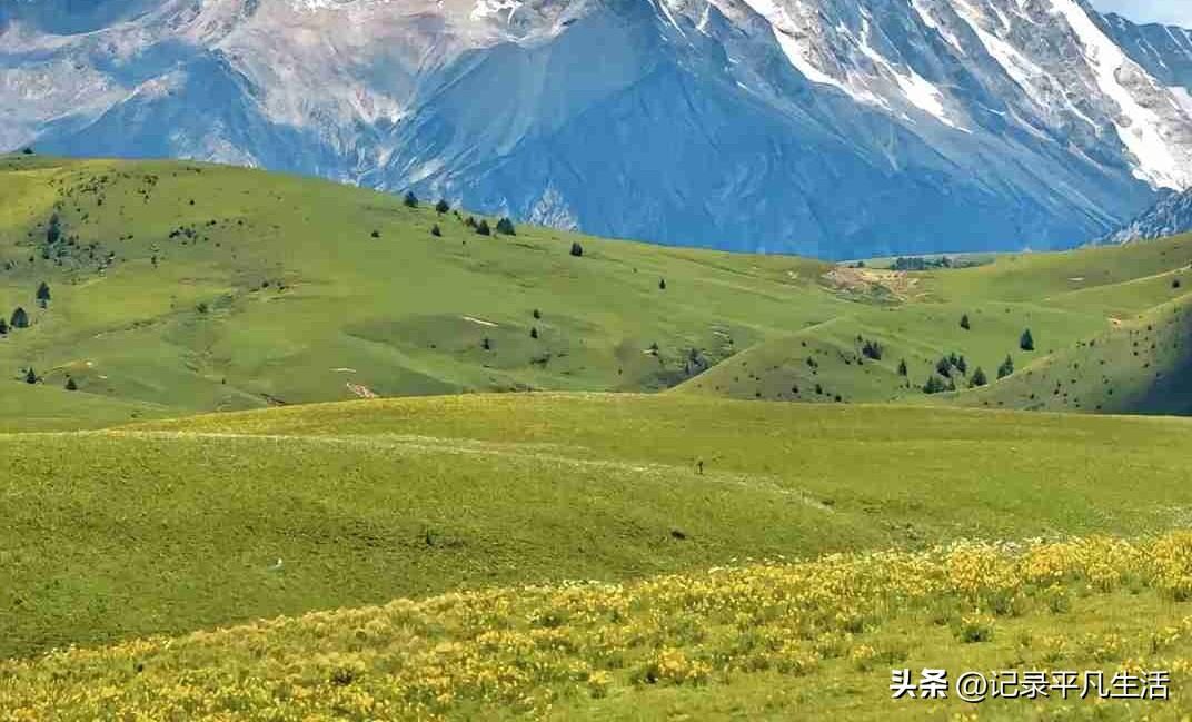 我的今日状态：😁轻松愉快
我这里的天气：☀️晴天