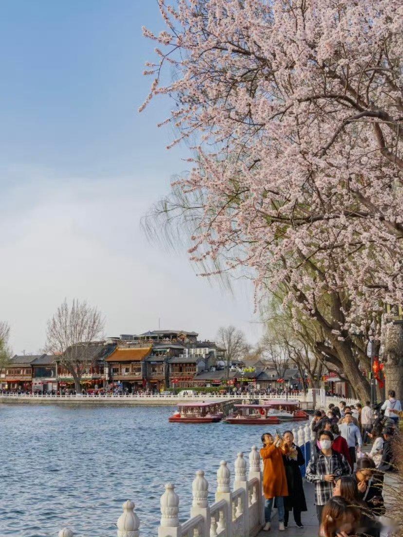 一定要来北京感受一次北平的春 每一个人对于北京的春天的想法都是不一样的，但是如果