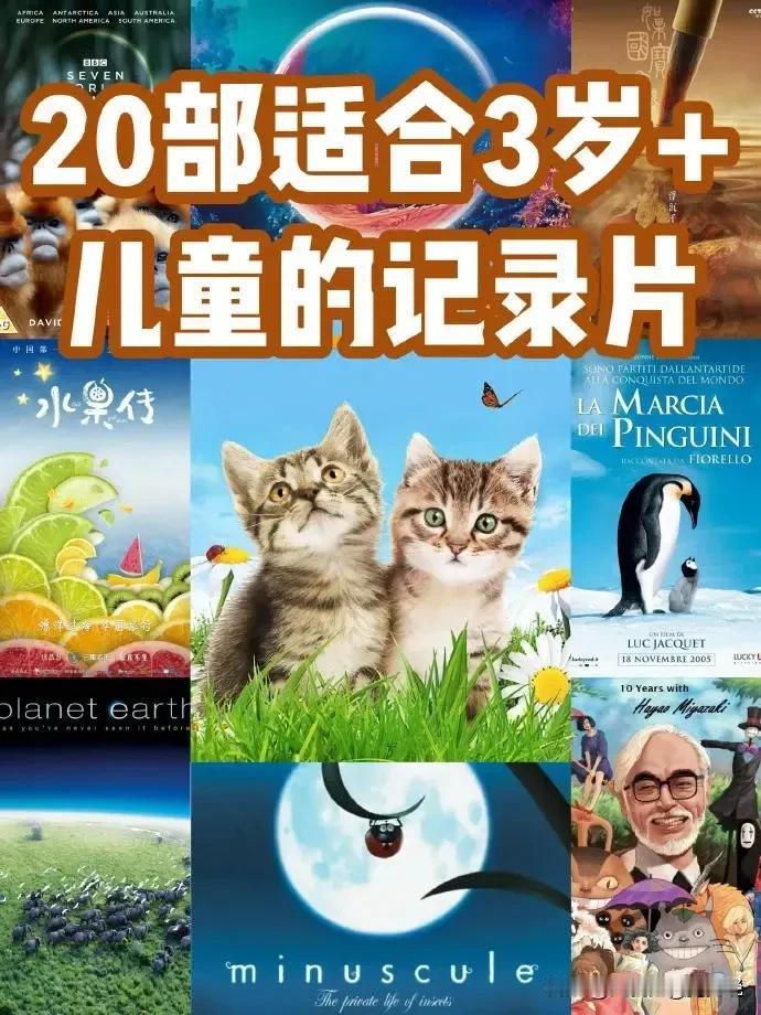 一位985博士爸爸肺腑直言：从小被纪录片喂大的孩子，知识暴涨，口才惊人，眼界格局