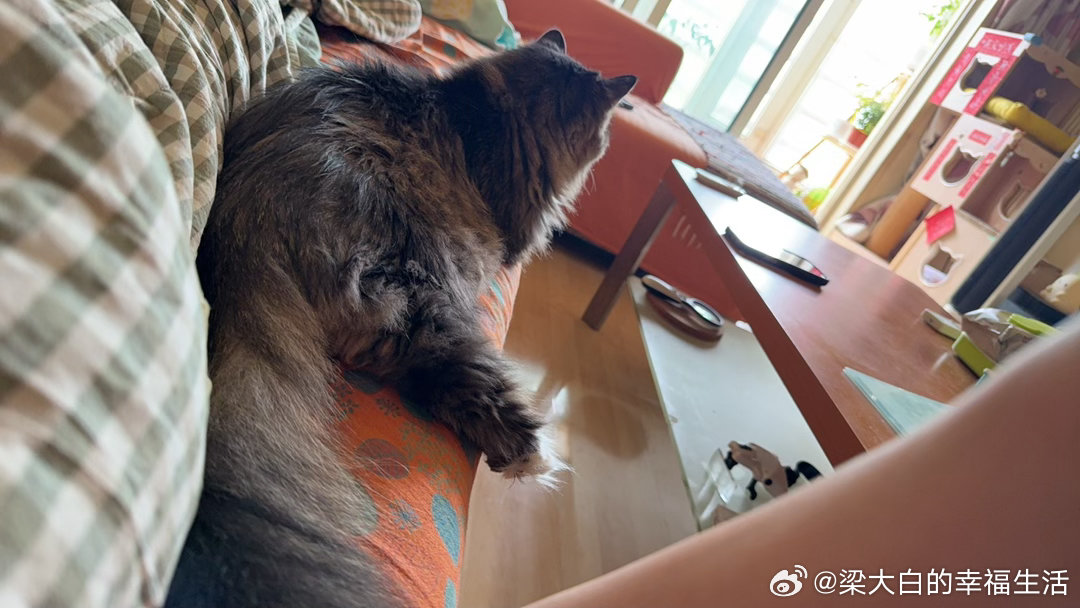 我们娘俩的幸福时光