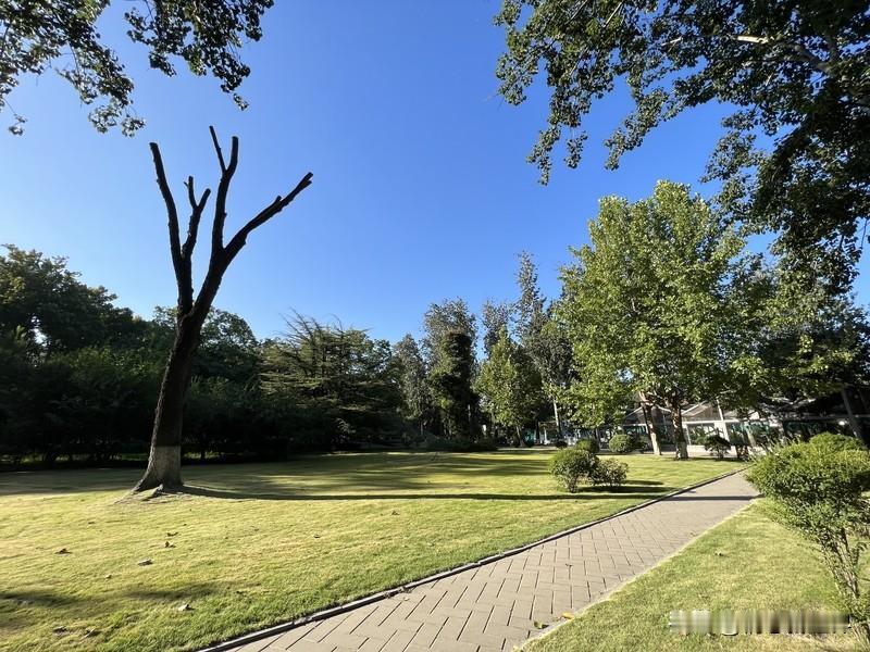 真正活通透了,会是什么样子? 真正活通透了，大概就是一副“佛系”模样。不再爱较真