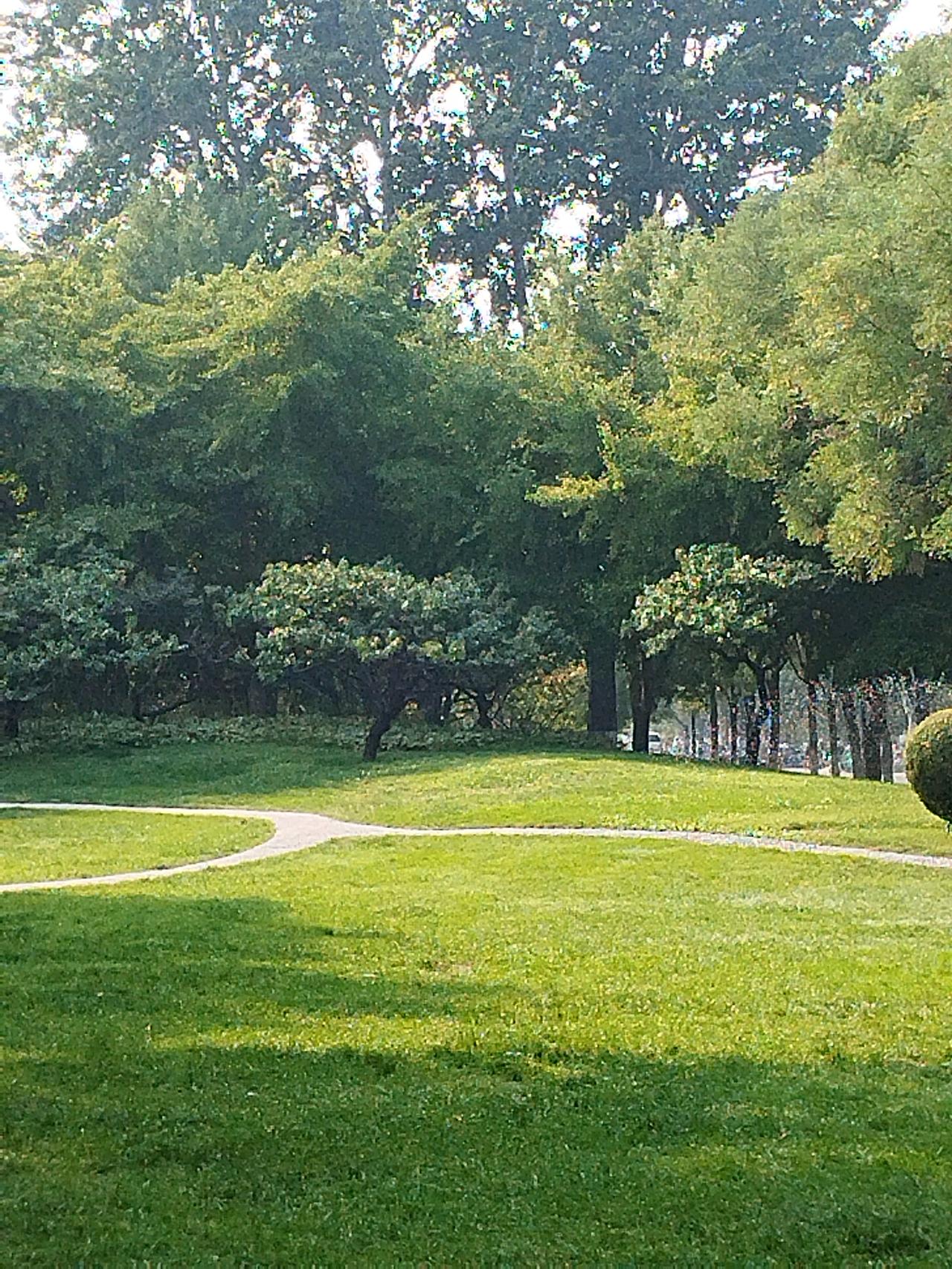 同样都是语言，英语是普通语言，汉语是高级语言，每一个中国人应该为自己能够说和书写