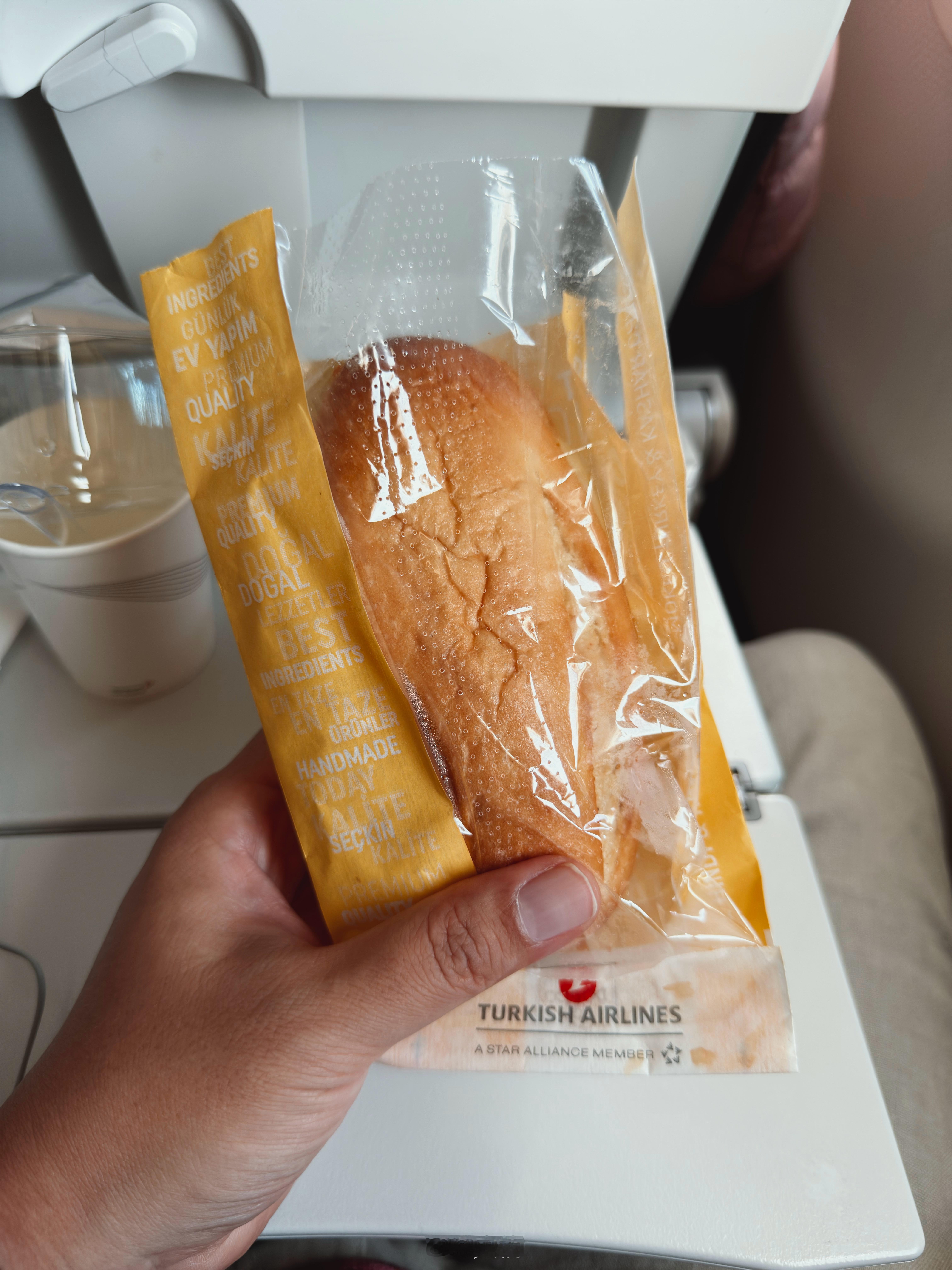 第二程：伊斯坦布尔到贝尔格莱德八百多公里的航程用 321 执飞，比 737 和 