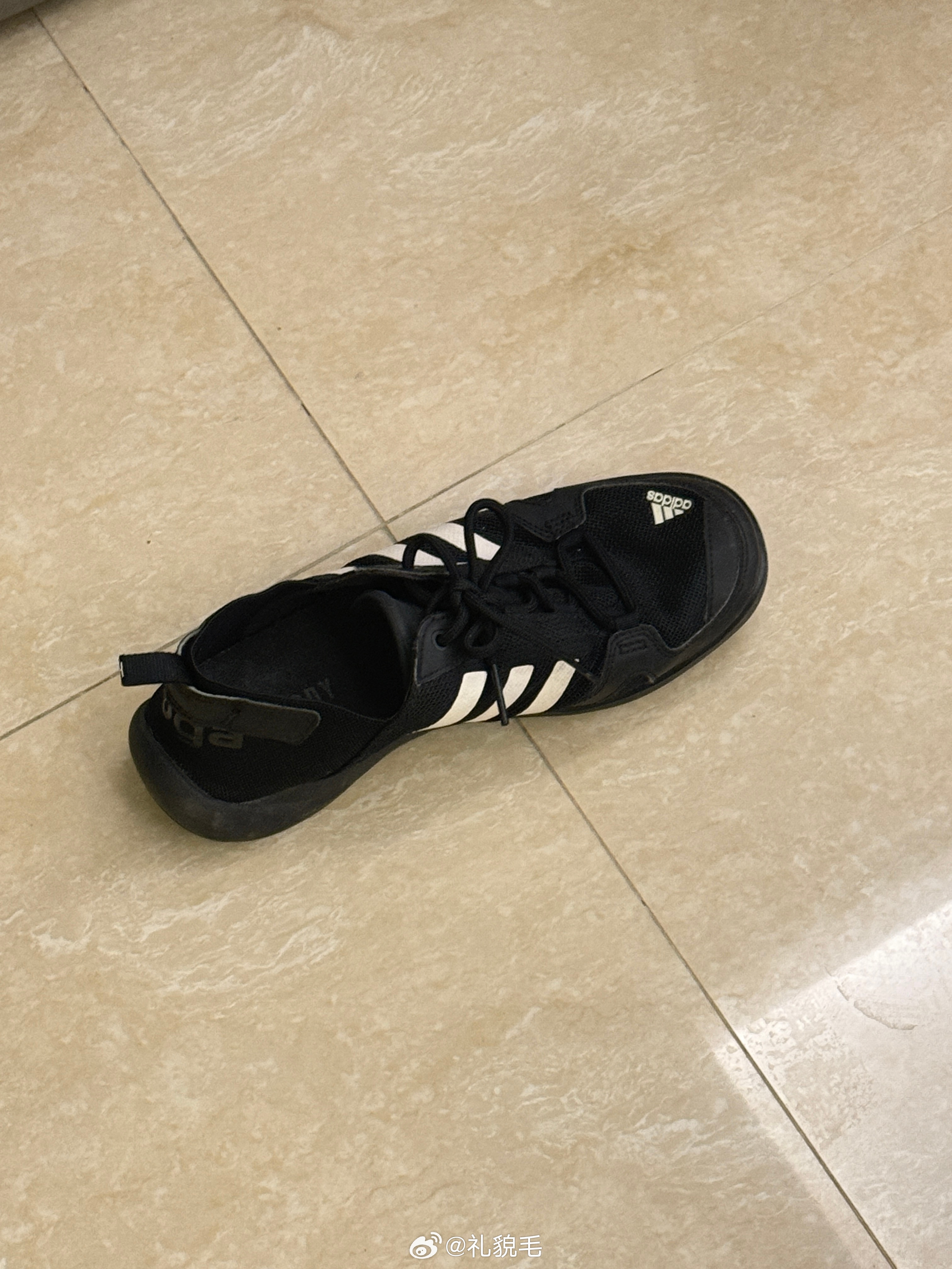 阿姨收拾完行李问我说这怎么只有一只鞋子我说嗯，那就是丢了