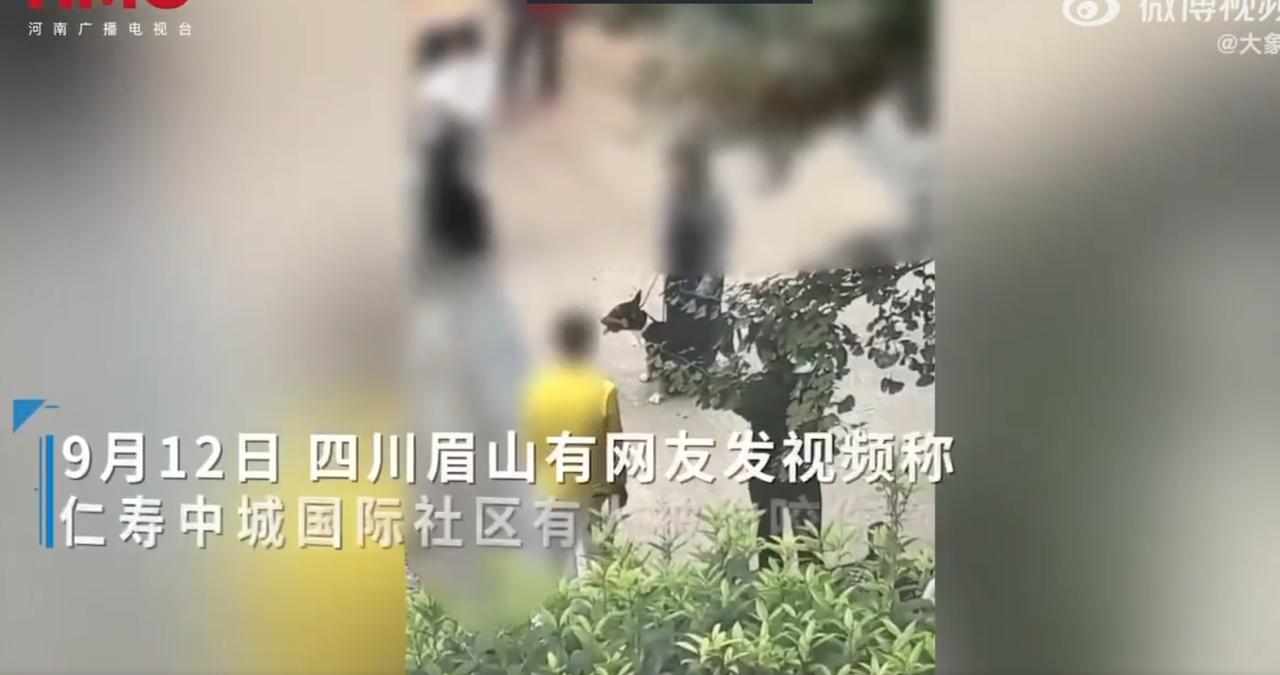 揪心一幕！四川眉山一社区， 一只未拴绳的迷你牛头梗突然扑向人群，连咬4至5人，一