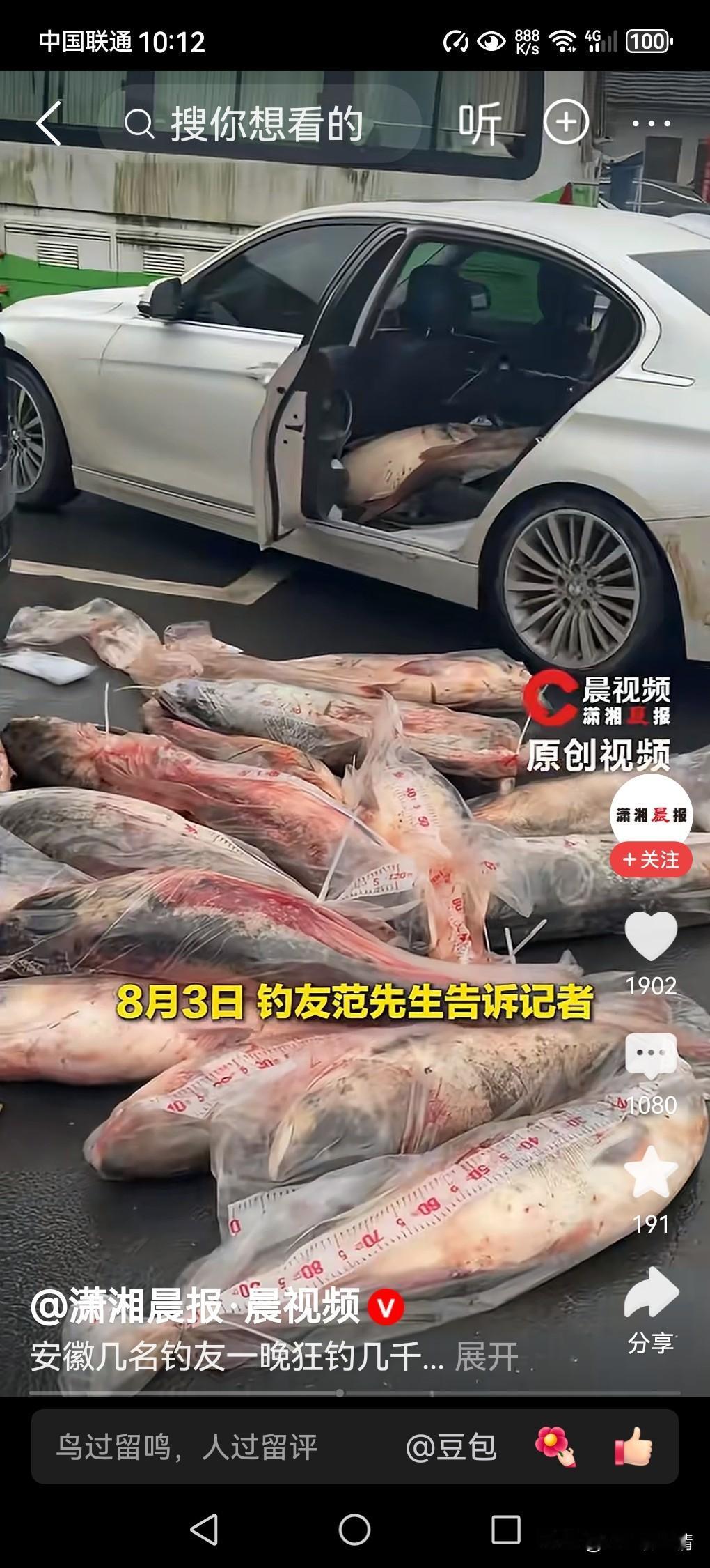 钓友一晚狂钓几千斤鱼，塞满后备箱！

这几日，安徽几位钓友在江苏常州的河道里，上