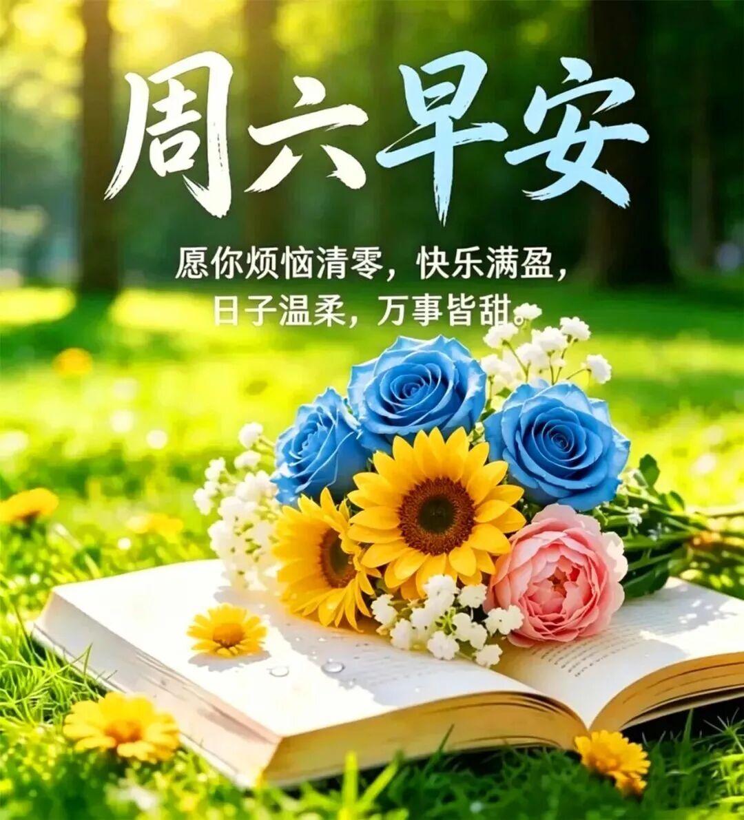 清空昨日的烦恼，放下未知的焦虑。用心过好当下每一天，认真生活、温柔度日。所有美好