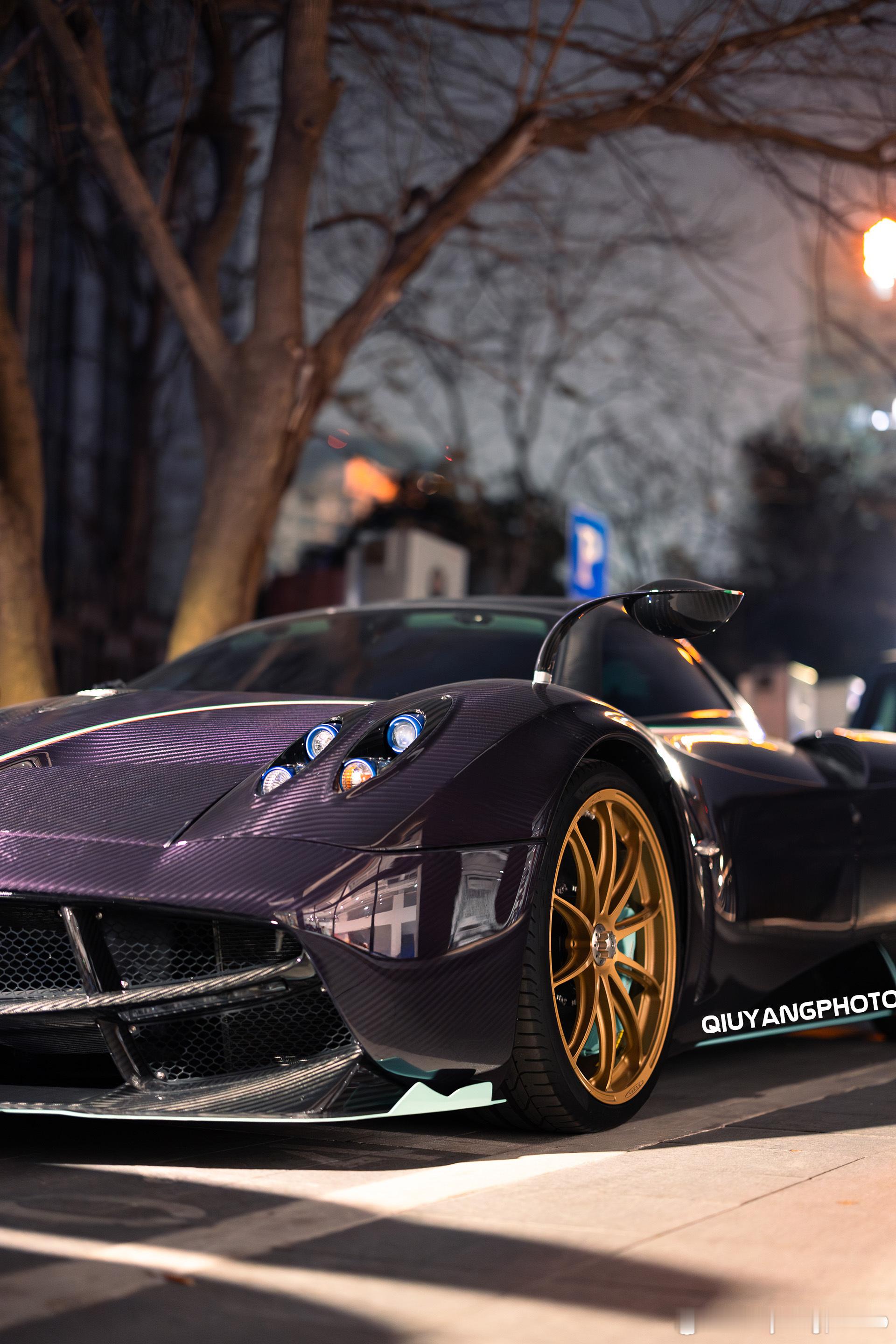 Pagani Huayra Dinastia “睚眥” #cars01豪车拍# 