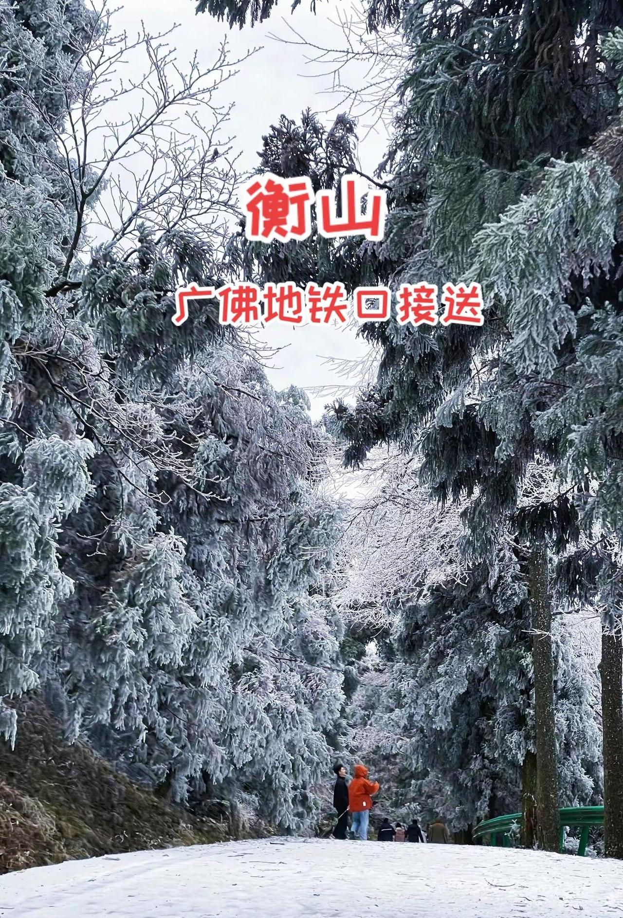 衡山雾凇封神！✅西岭停车场，徒步1-2h登顶祝融峰山脚路线前半程啥都没有，这条线