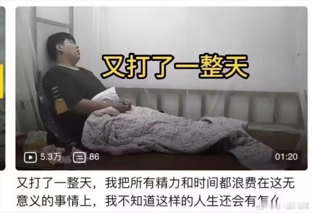 我每天 