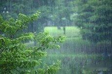 凤凰新闻【今天下午到夜间北京全市有雷阵雨，局地暴雨，伴短时大风和小冰雹】受冷涡和