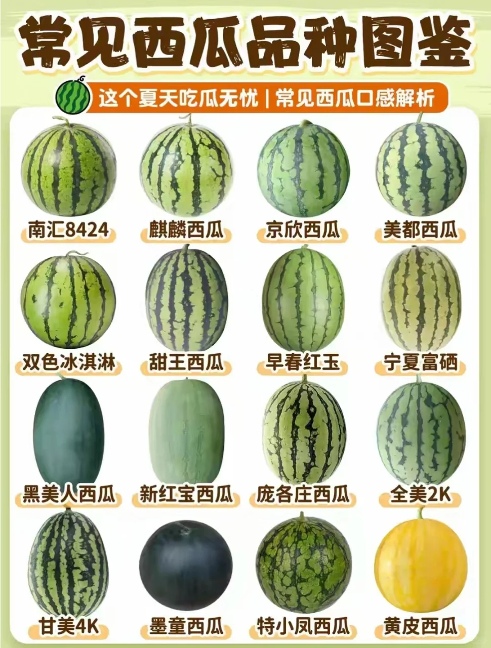 常见西瓜品种，哪种最好吃？