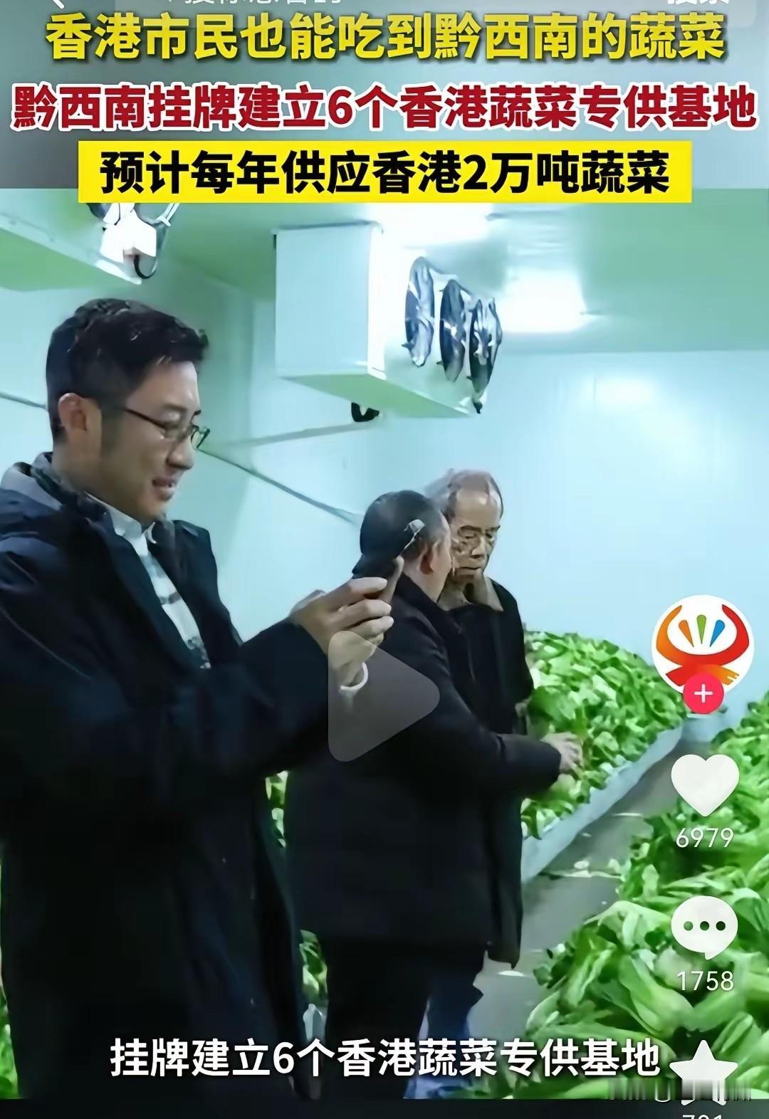 一个很难理解的问题，那就是我们出口其他国家或者供港澳台的食品、水果、蔬菜，包括饮