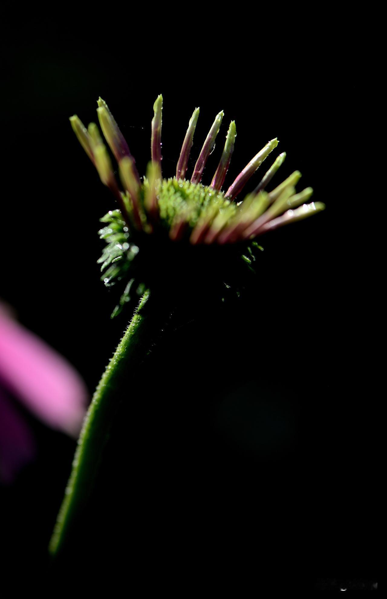 南湖公园四季掠影（十一）
秋季景色：