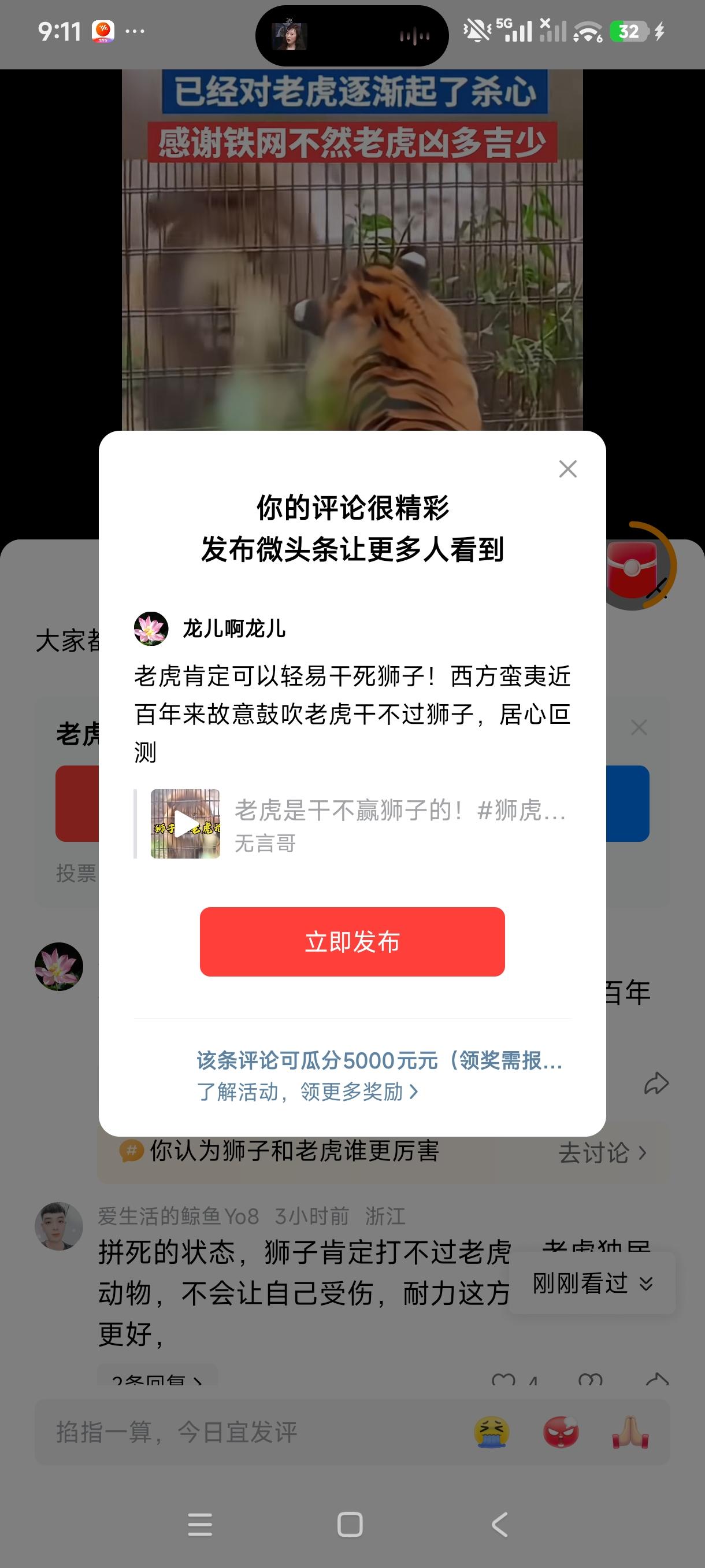 老虎肯定可以轻易干死狮子！西方蛮夷近百年来故意鼓吹老虎干不过狮子，居心叵测