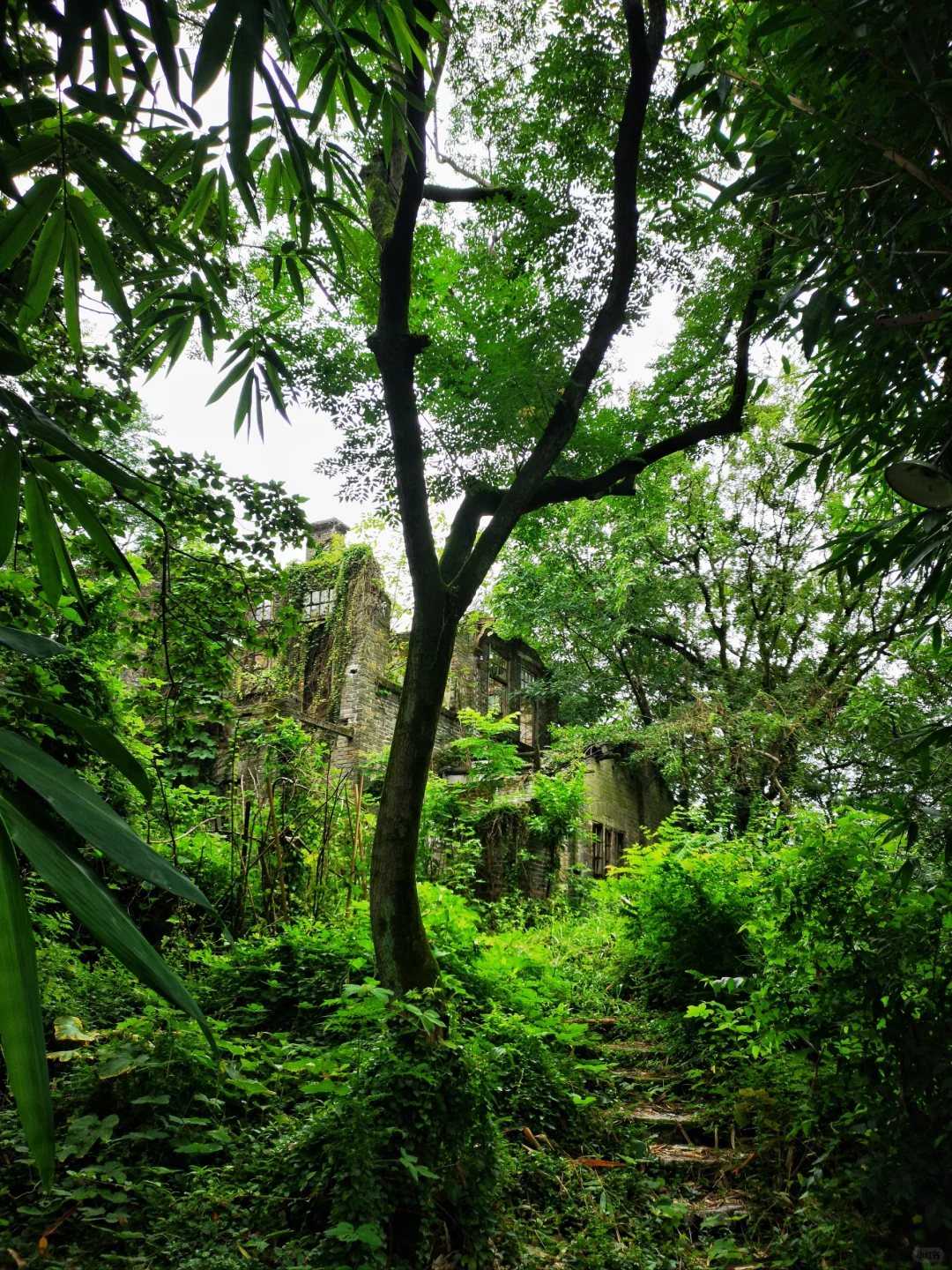 重庆鬼故事系列之2: 北碚鬼楼真的有鬼吗