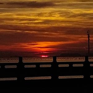 静夜观流萤