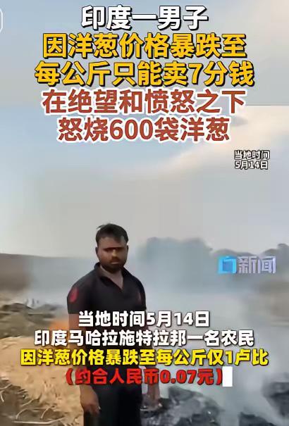谷贱伤农！由于洋葱价格暴跌到几分钱，农民愤怒烧毁了600袋洋葱

印度农民普拉卡