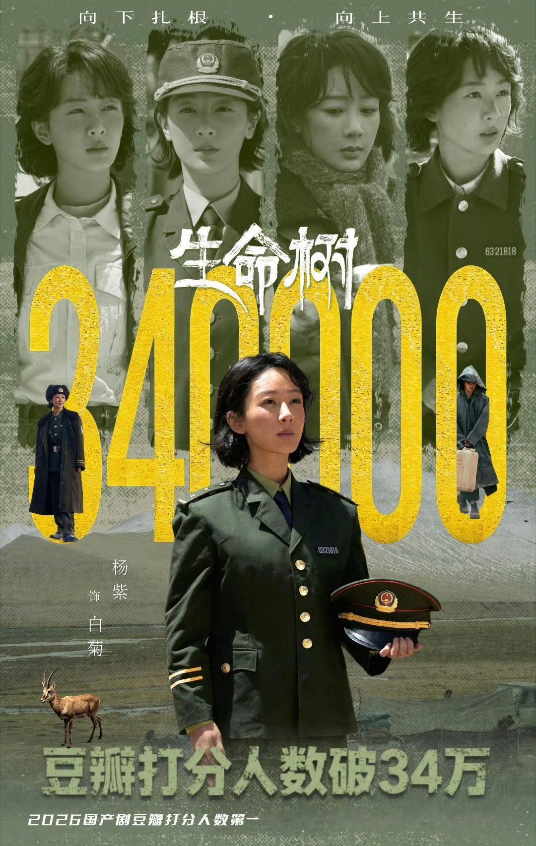 杨紫生命树超34万人打分杨紫生命树打分人数今年第一实力见证口碑！杨紫主演《生命树