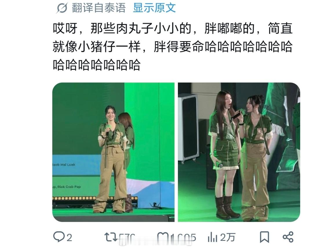 小猪仔哈哈哈哈 