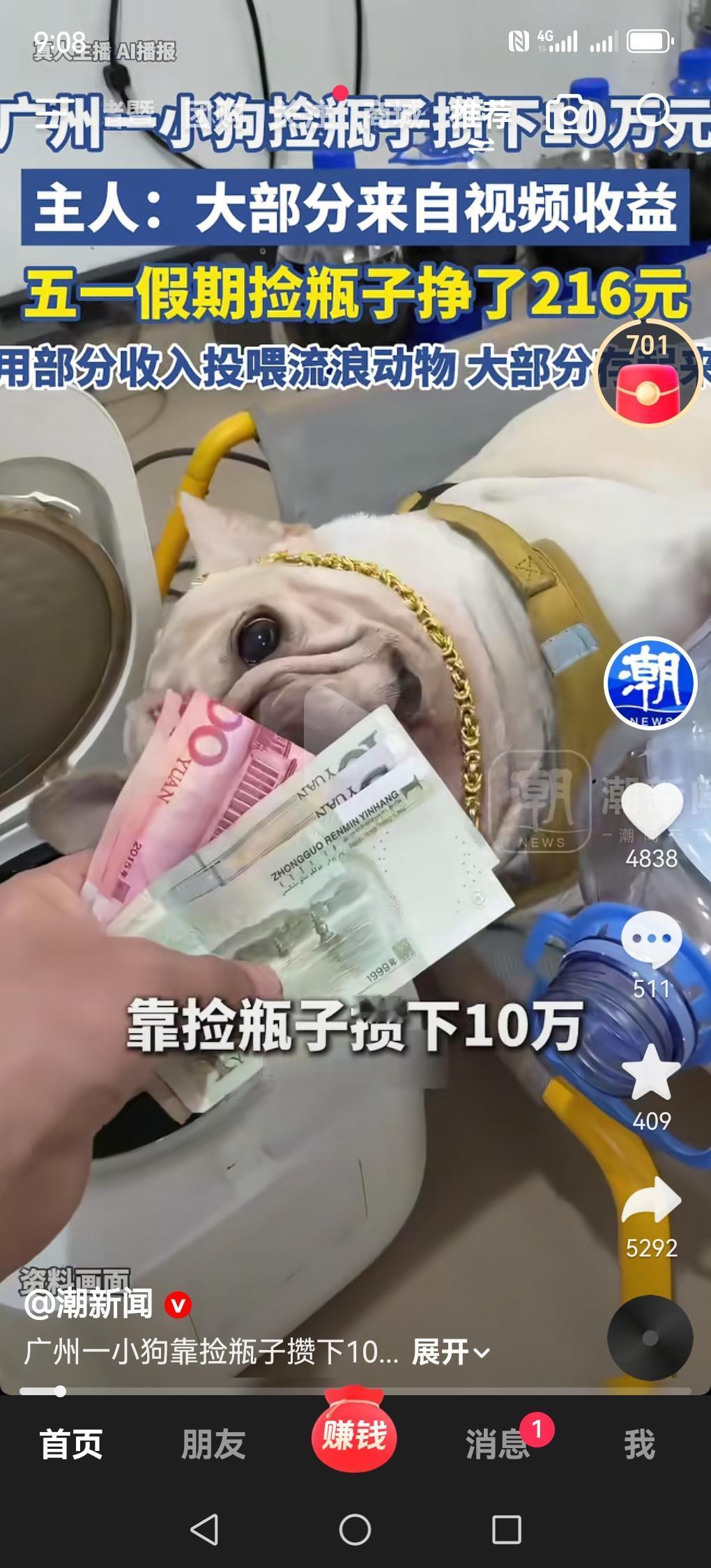也许你可能活得还不如一条狗，这不是调侃，而是真实发生的事情。广州这只狗狗，直接靠