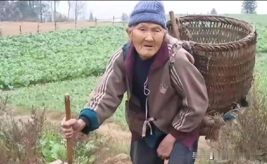 五十年的岁月折痕

五十年前，她是人群中明艳夺目的一朵花，和众多怀揣理想的知识青