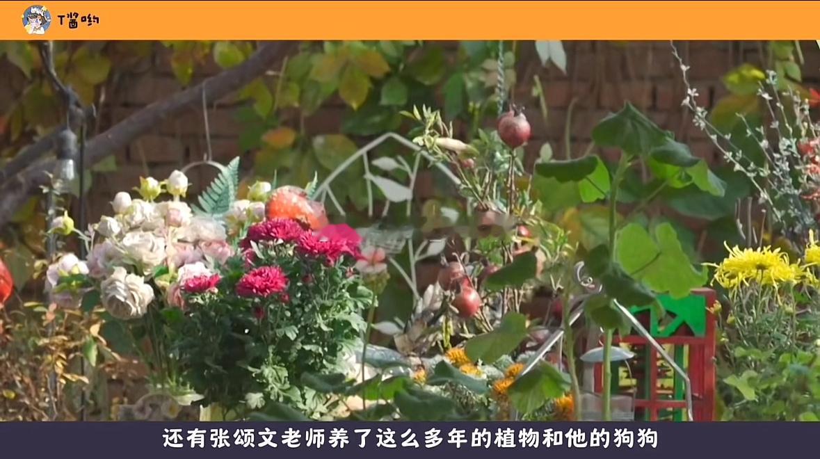 看了这个综艺之后，严重怀疑张颂文老师是金牛座，去查了一下资料，果然[破涕为笑]在