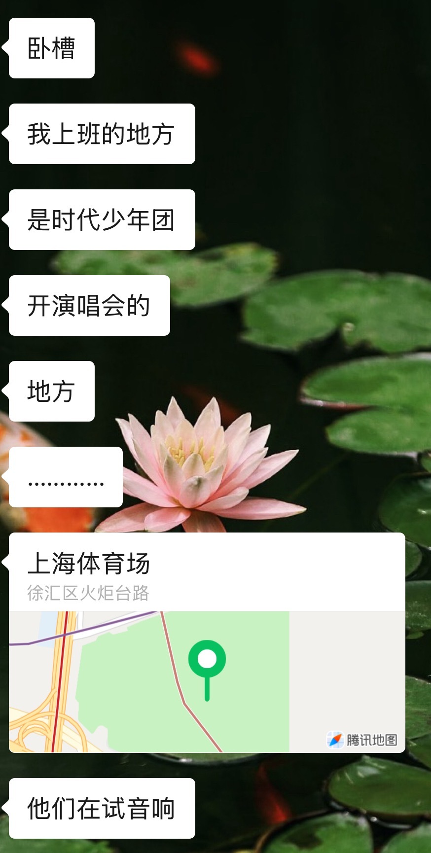 我肚肚 