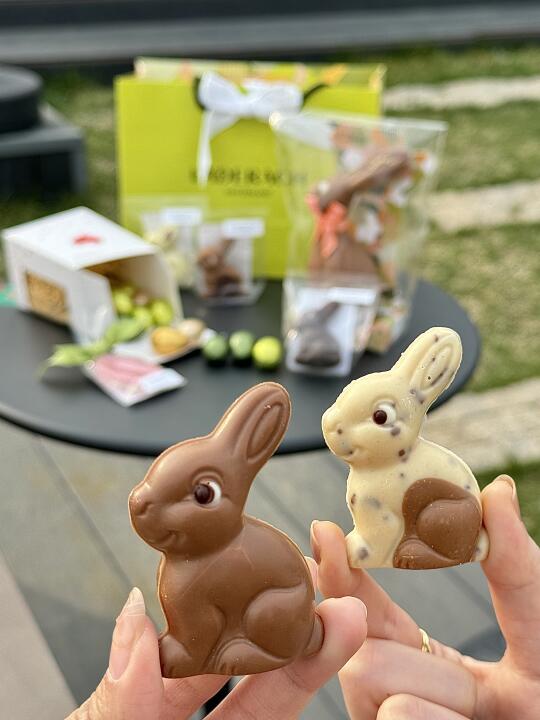 带着兔兔去春游🐰真的可爱到不忍心吃掉！