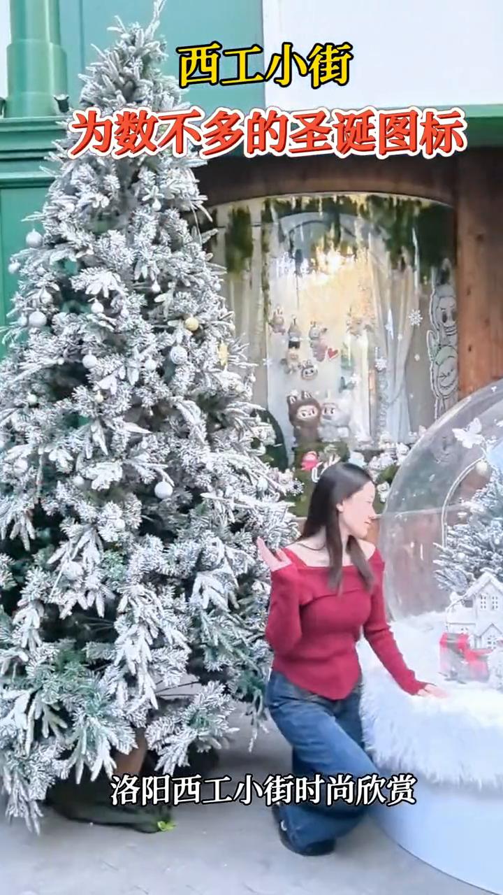 西工小街为数不多的圣诞图标。
洛阳西工小街时尚欣赏。