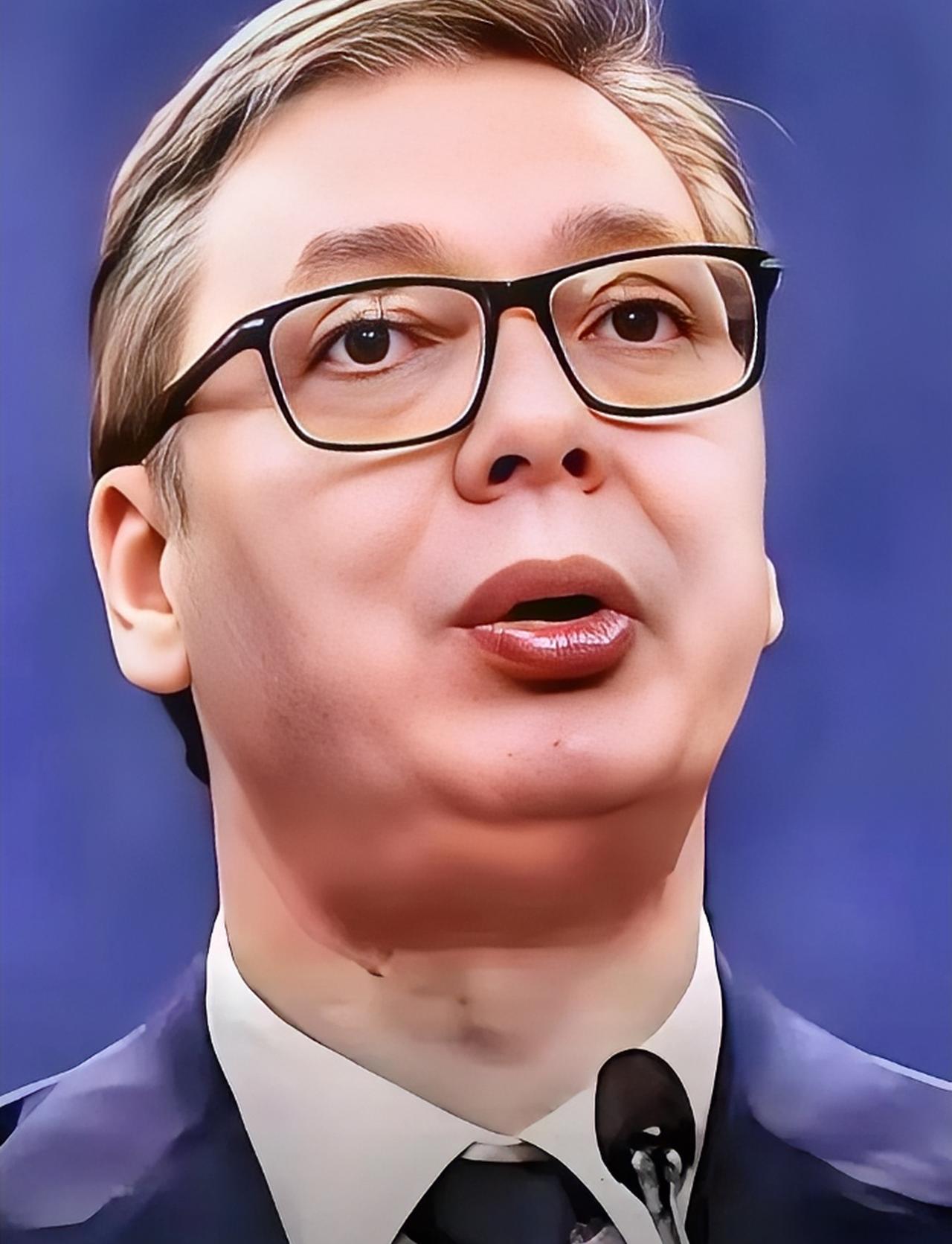 欧洲这次真坐不住了！6月8日，塞尔维亚总统亲自通过粉红电视台拍板确认——就在贝尔