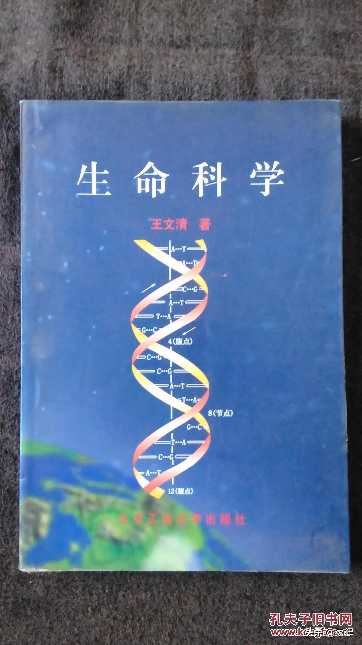 当人类真正停止内耗（包括战争、经济掠夺、大国霸凌等），开始集中资源研究下面3大领