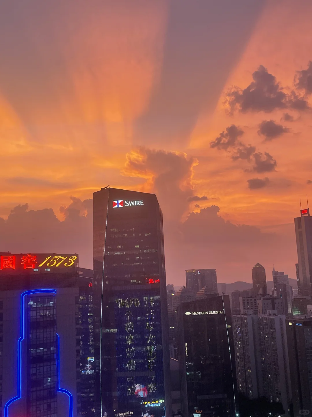 今天广州地表温度有50度