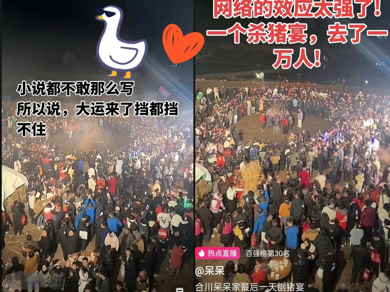 有个不好的预感，
呆呆家的年怕是过不好了，
细心的人肯定已经发现，3天前呆呆粉丝