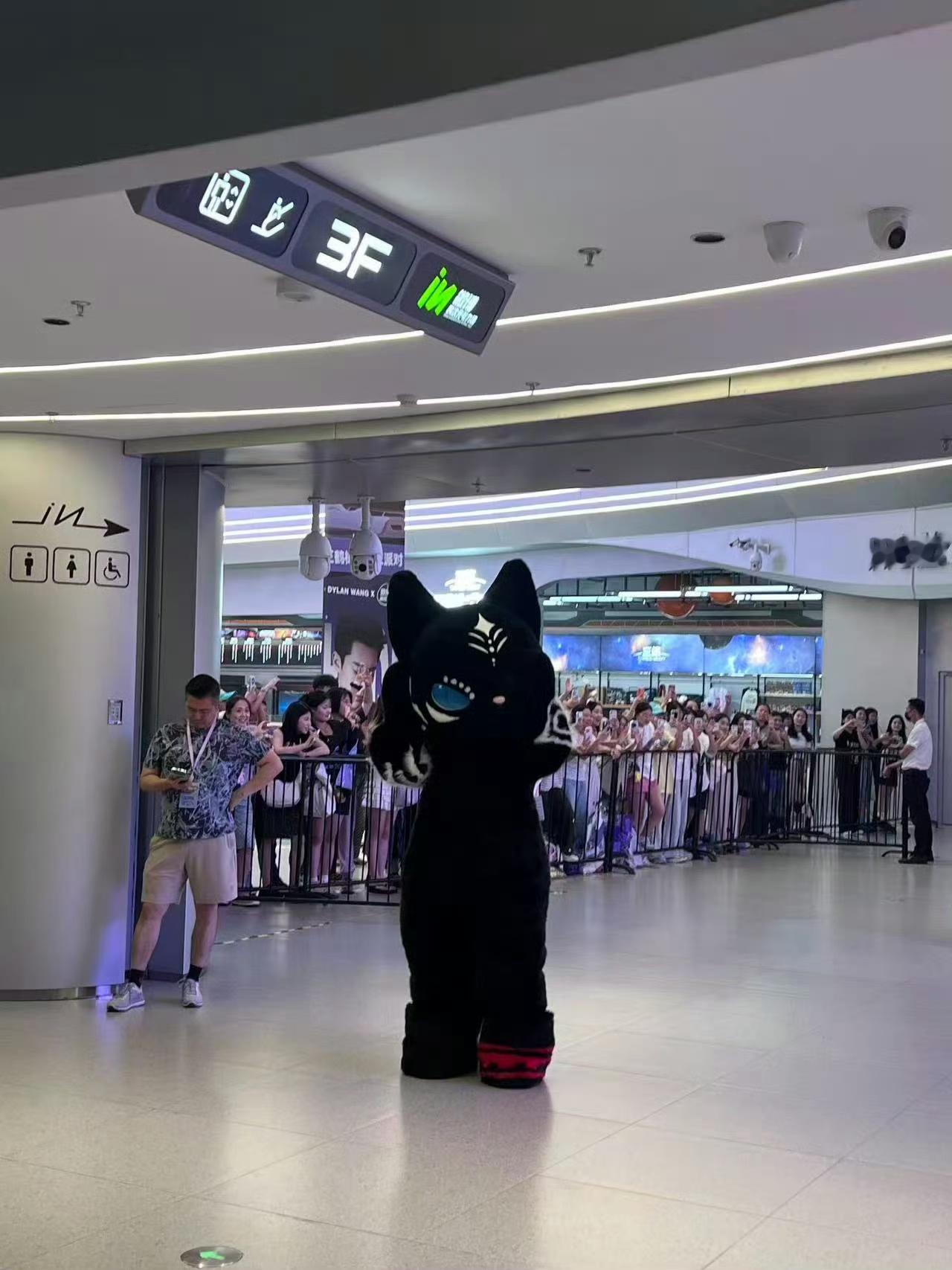 不知道真假，我需要一个v棣o证实一下。这个时间点没有票的兄棣伙在外面蹲守，有票的