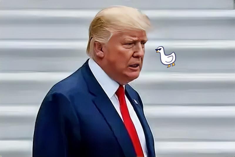 万万没想到！！
没等来高市早苗的道歉，却等到一个来自老美的炸裂消息，美国参议院居