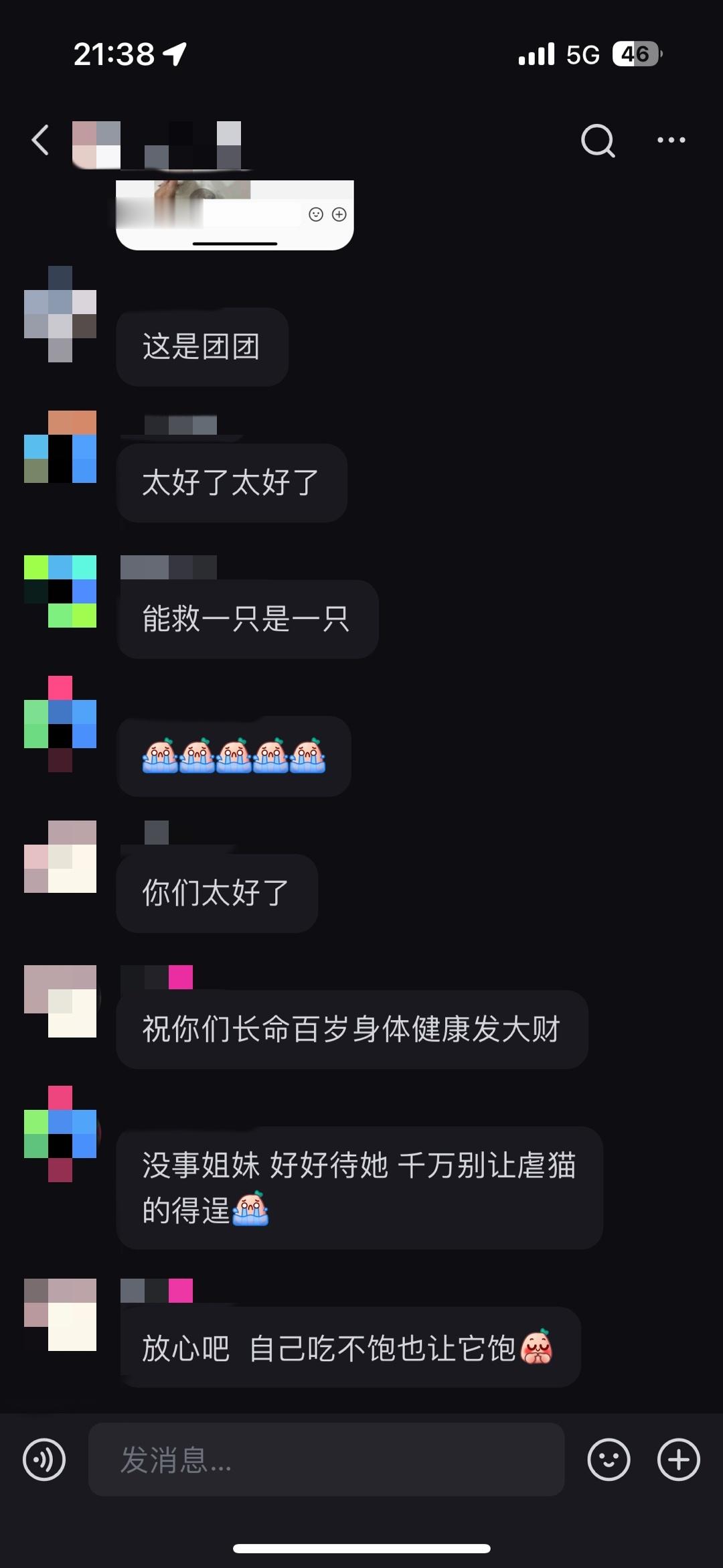 -家人们！！好消息！！！团团已经确认救回来了！！！这是我们今天救回来的第二只小可