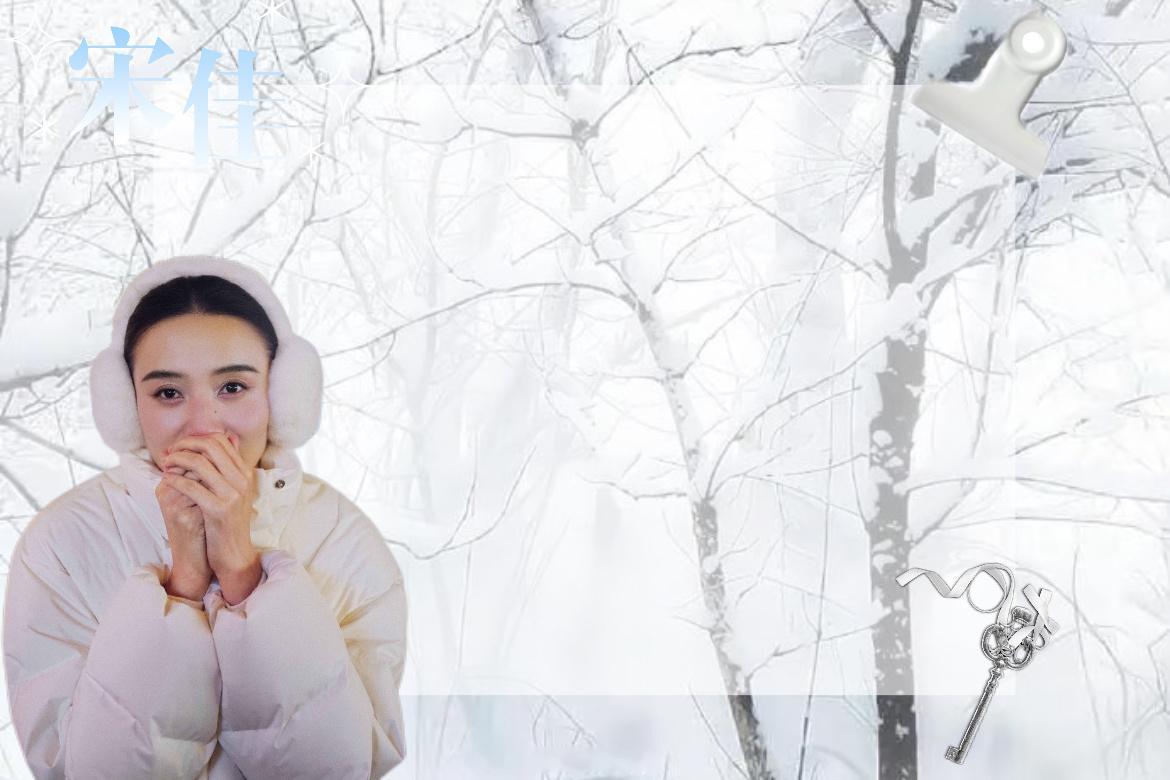 🩵🤍明信片·制图🤍你和雪有一个共同的特点都是上天赠予我的礼物宋佳
