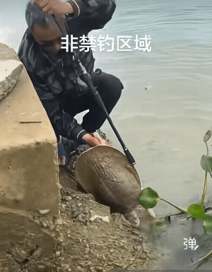 开始是你不松手，后来是它不松口![呲牙]