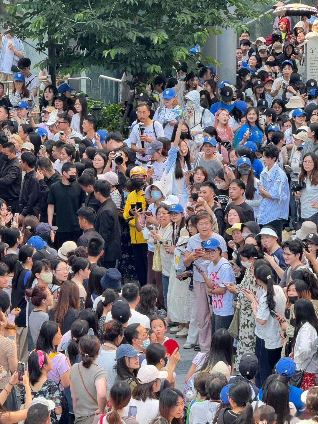 这人气 