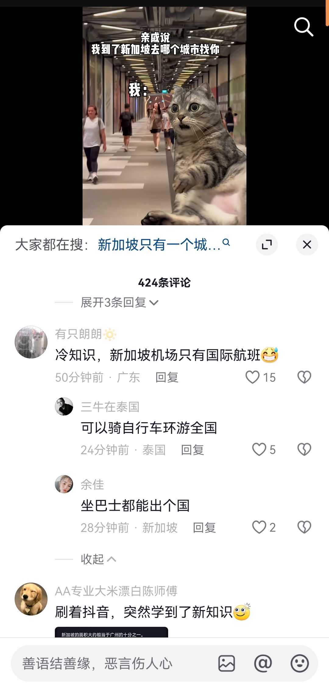 冷知识，新加坡有两个机场，两个机场之间也有调机航班。 