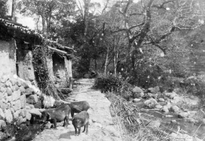 1984年，一名解放军战士不慎摔落悬崖和部队失去了联系，但令他万万没想到的是，他